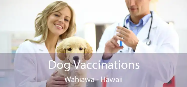 Dog Vaccinations Wahiawa - Hawaii