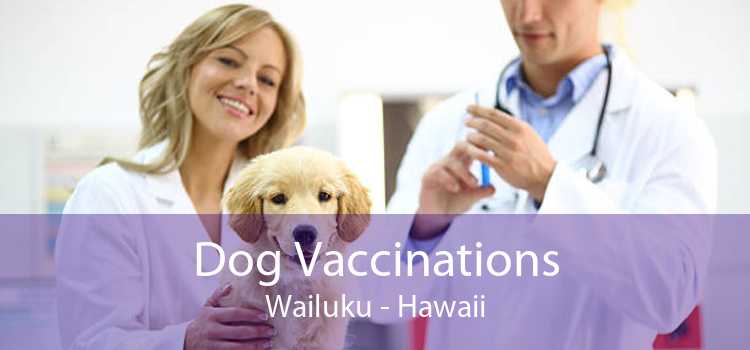 Dog Vaccinations Wailuku - Hawaii