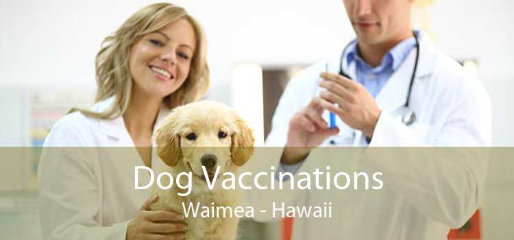 Dog Vaccinations Waimea - Hawaii