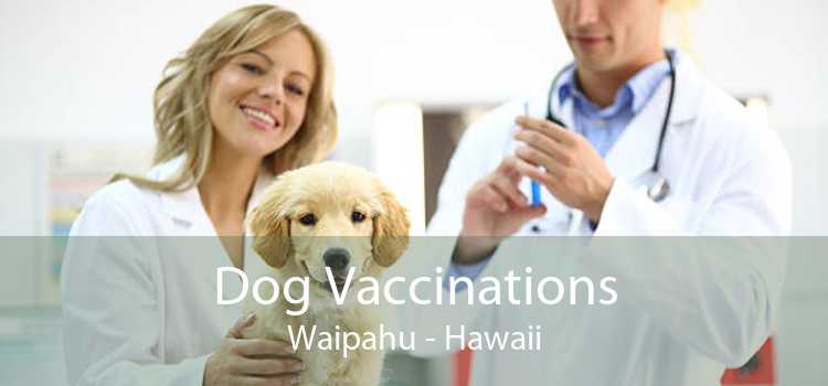 Dog Vaccinations Waipahu - Hawaii