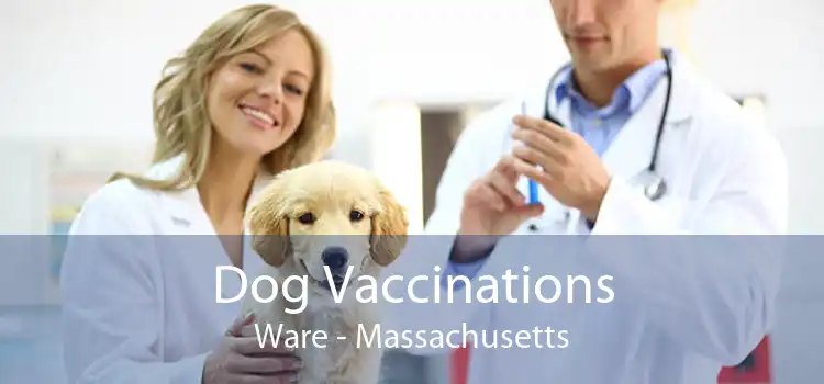 Dog Vaccinations Ware - Massachusetts
