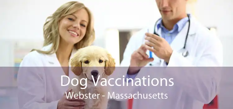 Dog Vaccinations Webster - Massachusetts