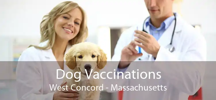 Dog Vaccinations West Concord - Massachusetts