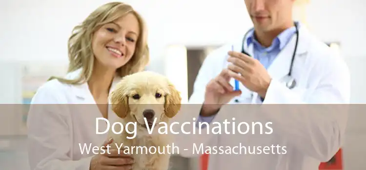 Dog Vaccinations West Yarmouth - Massachusetts
