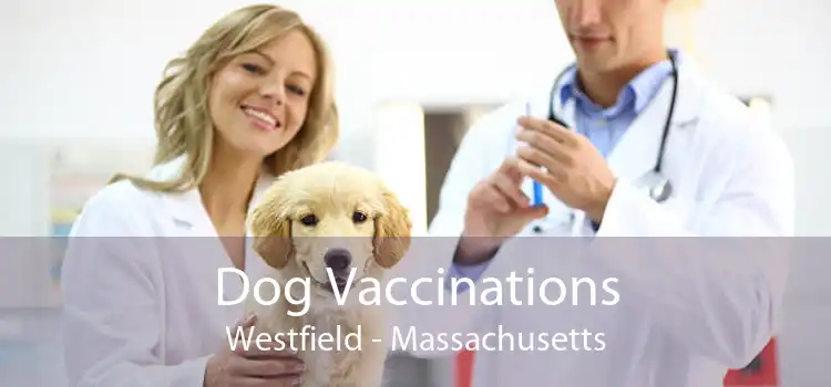 Dog Vaccinations Westfield - Massachusetts