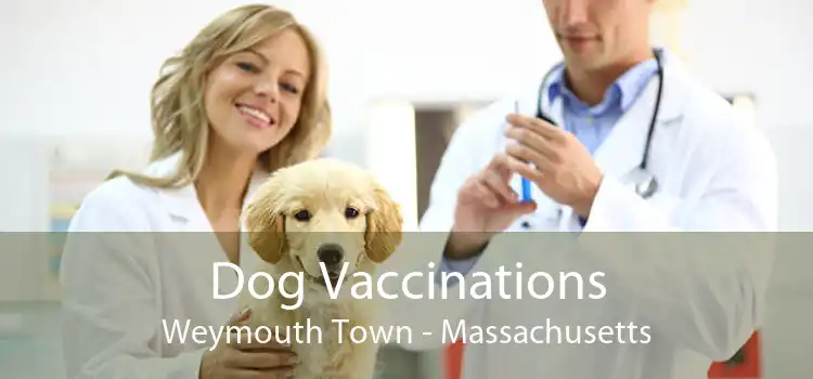 Dog Vaccinations Weymouth Town - Massachusetts