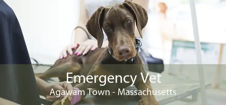 Emergency Vet Agawam Town - Massachusetts