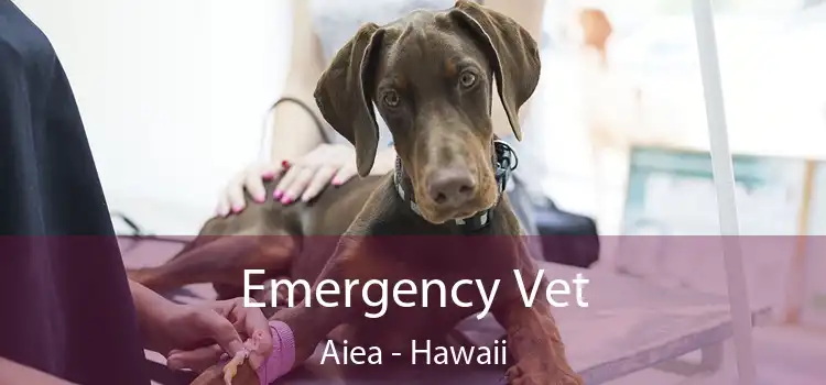 Emergency Vet Aiea - Hawaii