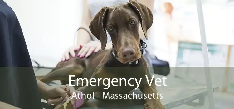 Emergency Vet Athol - Massachusetts