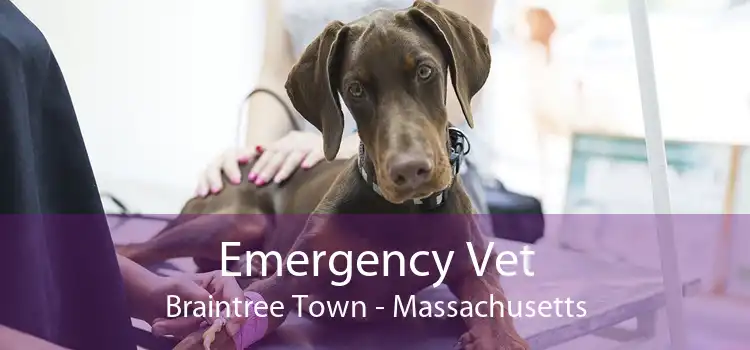 Emergency Vet Braintree Town - Massachusetts