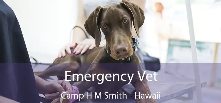 Emergency Vet Camp H M Smith - Hawaii