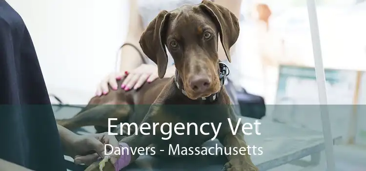 Emergency Vet Danvers - Massachusetts