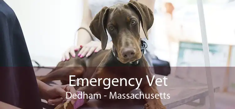 Emergency Vet Dedham - Massachusetts