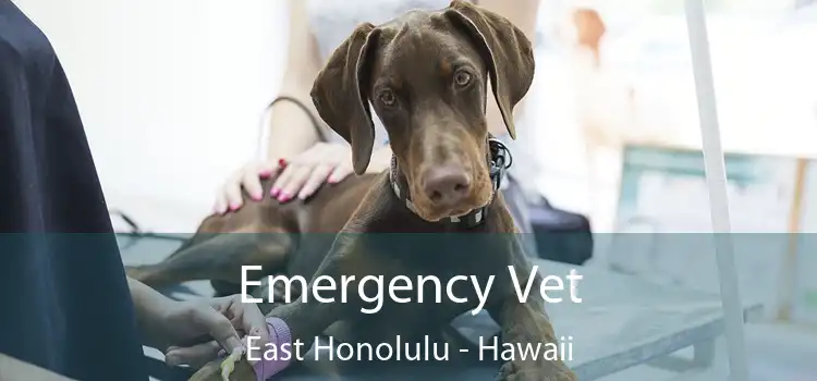 Emergency Vet East Honolulu - Hawaii