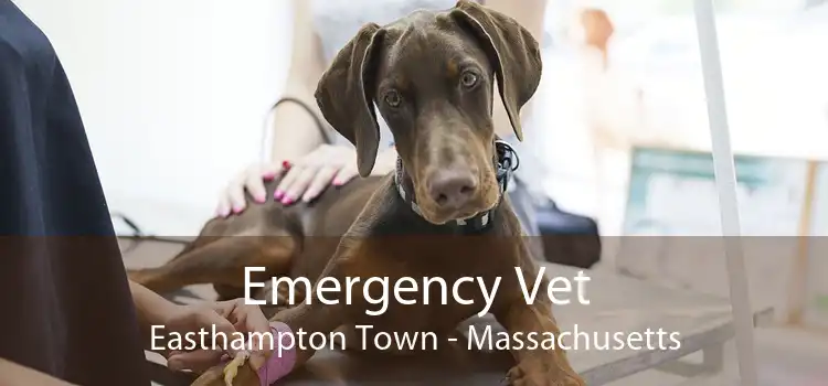 Emergency Vet Easthampton Town - Massachusetts