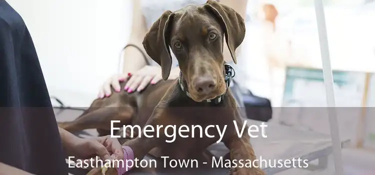 Emergency Vet Easthampton Town - Massachusetts