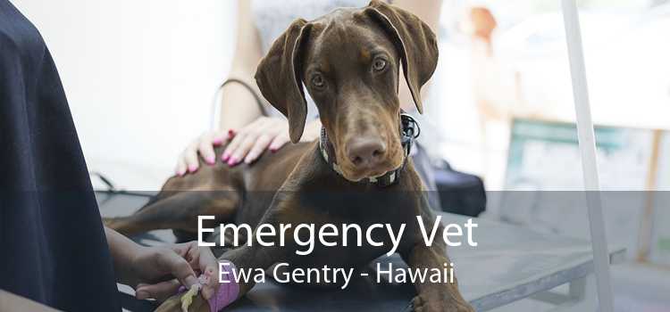 Emergency Vet Ewa Gentry - Hawaii
