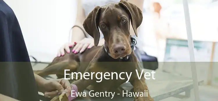 Emergency Vet Ewa Gentry - Hawaii