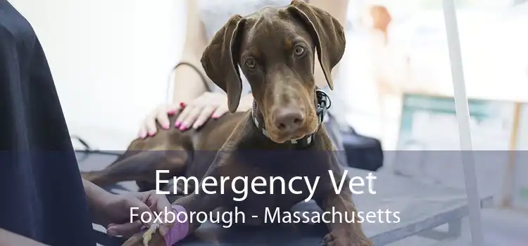 Emergency Vet Foxborough - Massachusetts