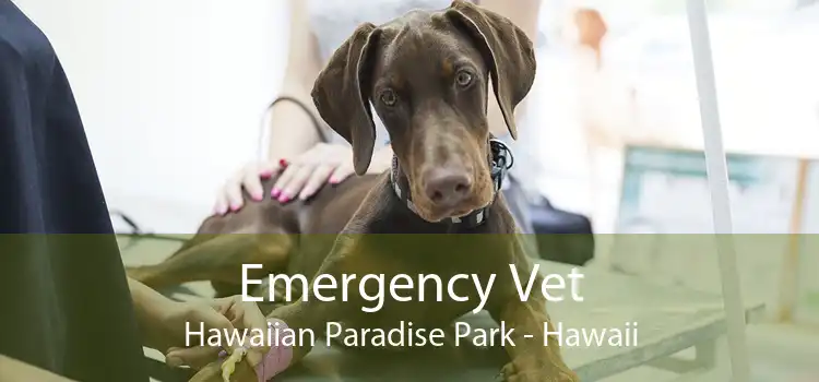 Emergency Vet Hawaiian Paradise Park - Hawaii