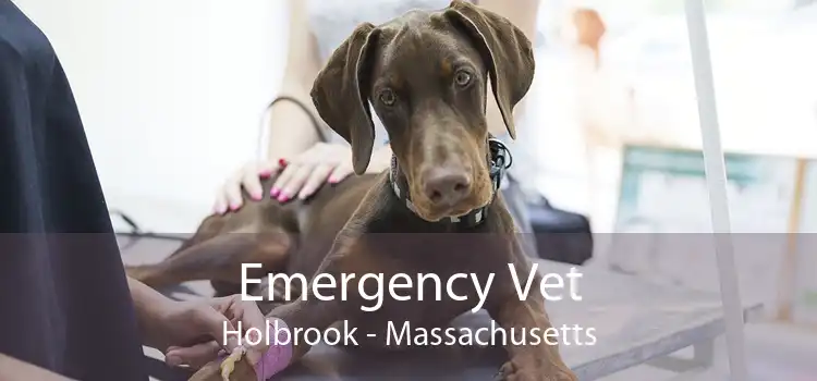Emergency Vet Holbrook - Massachusetts