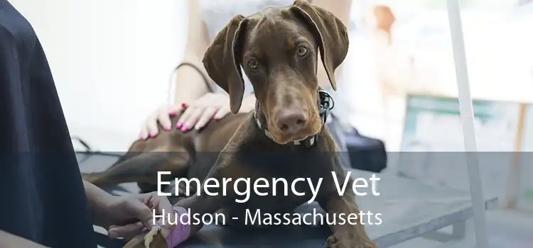 Emergency Vet Hudson - Massachusetts