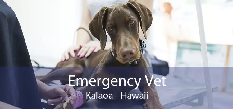 Emergency Vet Kalaoa - Hawaii