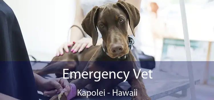Emergency Vet Kapolei - Hawaii