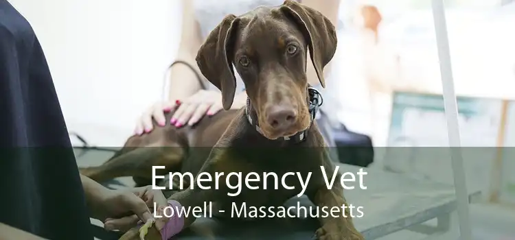 Emergency Vet Lowell - Massachusetts