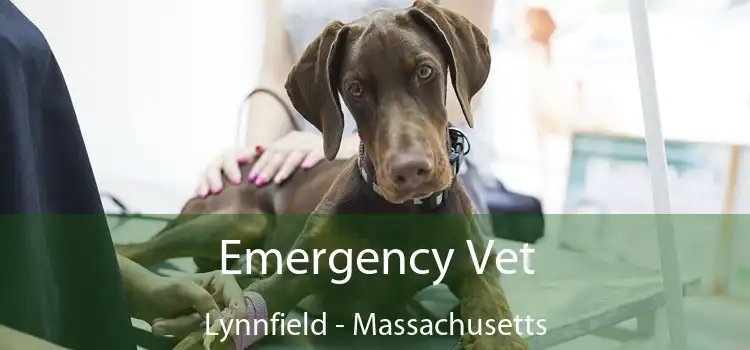 Emergency Vet Lynnfield - Massachusetts