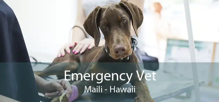 Emergency Vet Maili - Hawaii