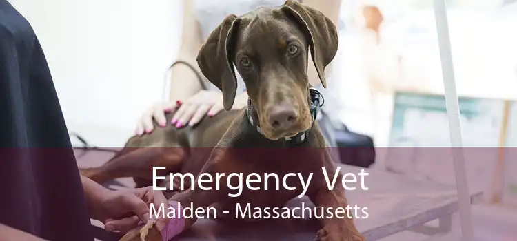 Emergency Vet Malden - Massachusetts