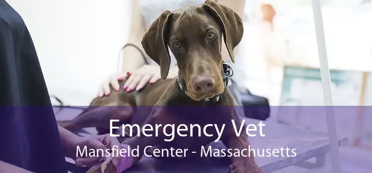 Emergency Vet Mansfield Center - Massachusetts