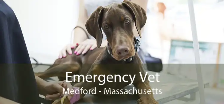Emergency Vet Medford - Massachusetts