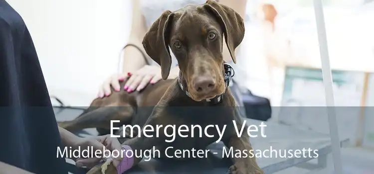 Emergency Vet Middleborough Center - Massachusetts