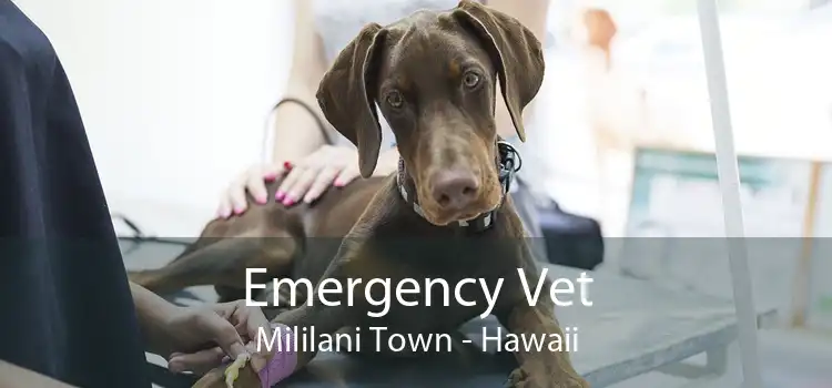 Emergency Vet Mililani Town - Hawaii