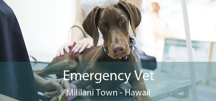 Emergency Vet Mililani Town - Hawaii