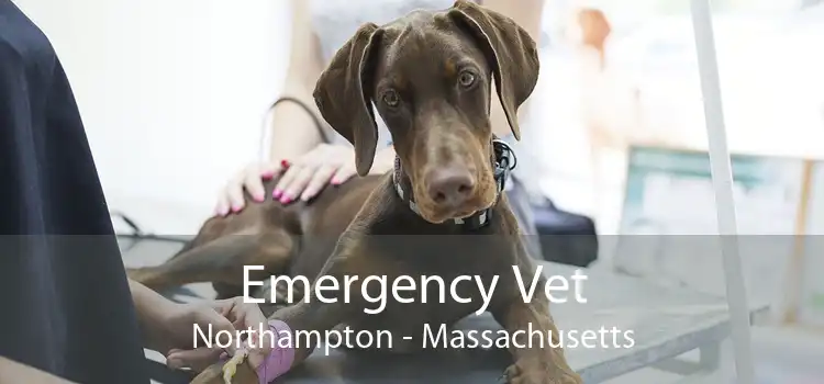 Emergency Vet Northampton - Massachusetts