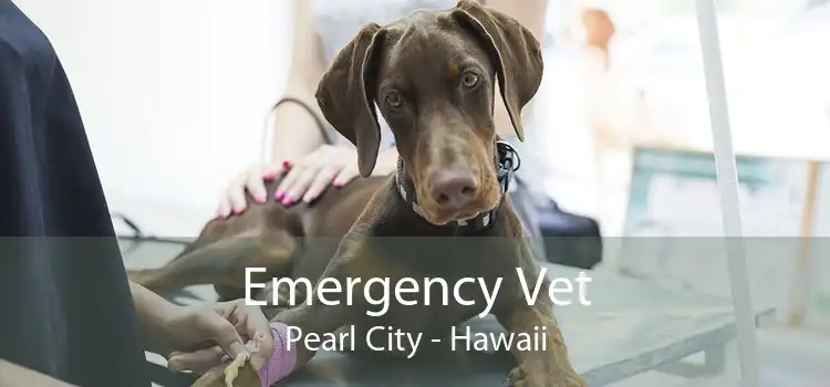Emergency Vet Pearl City - Hawaii