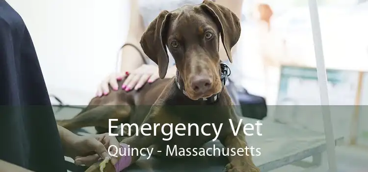 Emergency Vet Quincy - Massachusetts