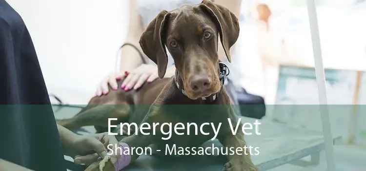 Emergency Vet Sharon - Massachusetts