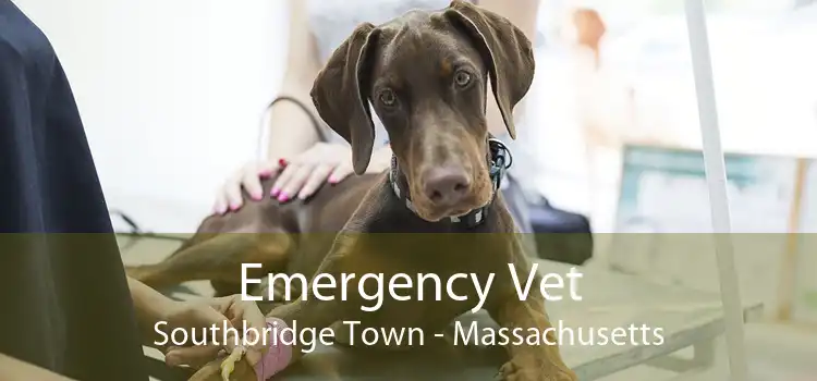 Emergency Vet Southbridge Town - Massachusetts