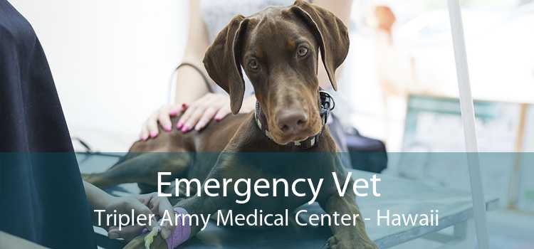 Emergency Vet Tripler Army Medical Center - Hawaii