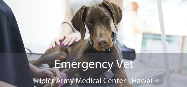 Emergency Vet Tripler Army Medical Center - Hawaii