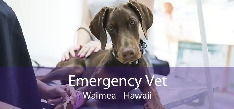 Emergency Vet Waimea - Hawaii