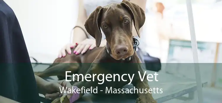 Emergency Vet Wakefield - Massachusetts