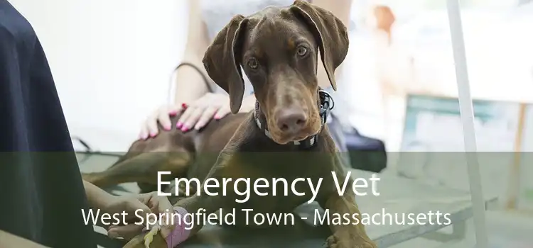 Emergency Vet West Springfield Town - Massachusetts