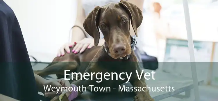 Emergency Vet Weymouth Town - Massachusetts