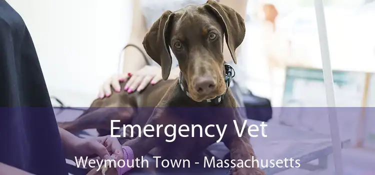 Emergency Vet Weymouth Town - Massachusetts
