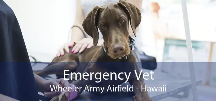 Emergency Vet Wheeler Army Airfield - Hawaii